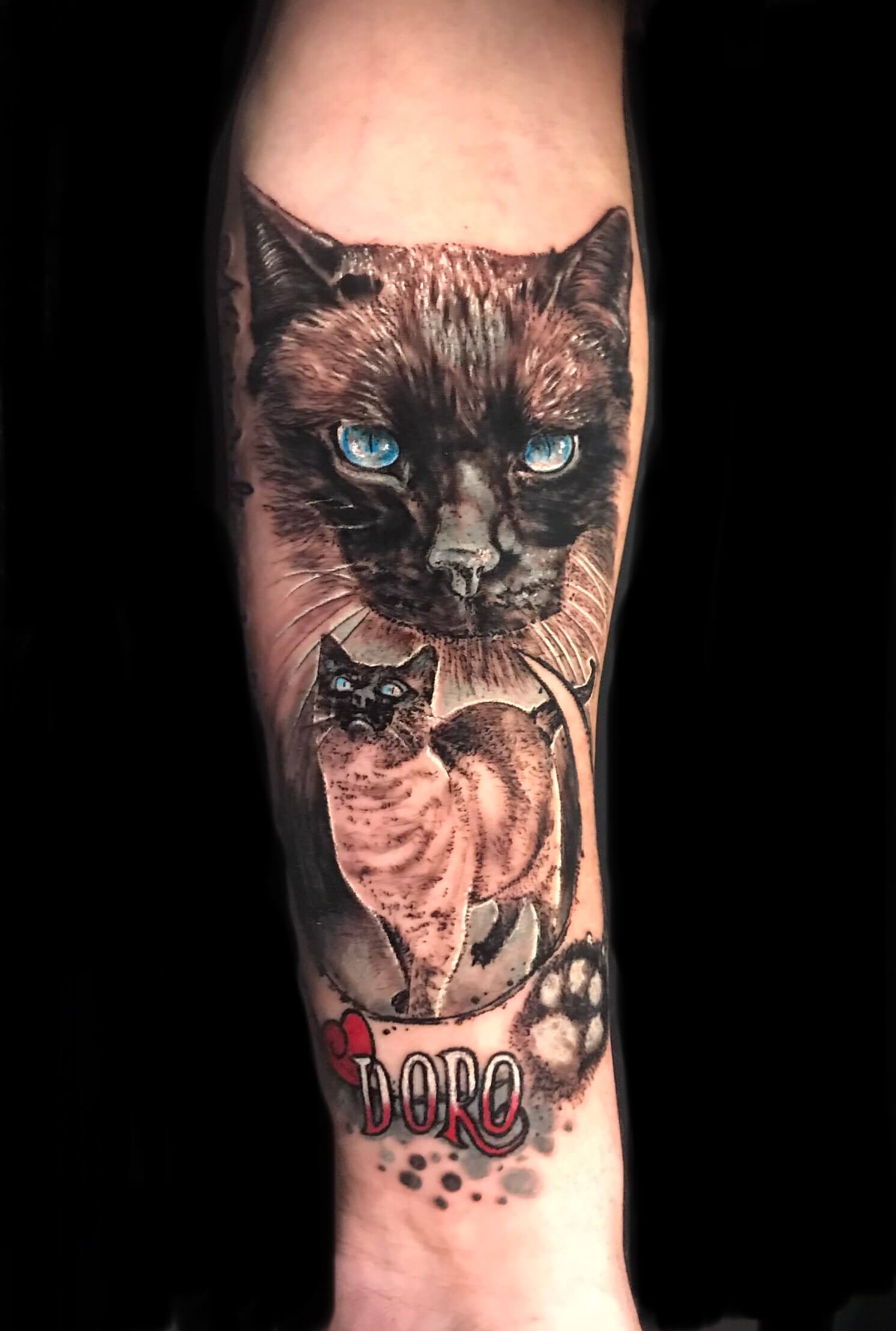 Tatuaje de una mascota gatuna en el brazo